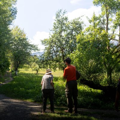 Édition 2026 - photo 48 sur 436