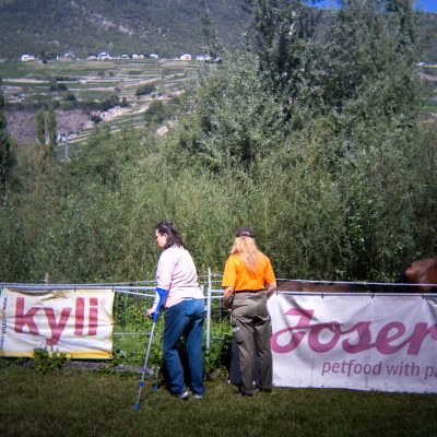 Édition 2026 - photo 86 sur 436