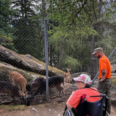 Édition 2026 - photo 391 sur 436