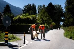 Édition 2025 - photo 20 sur 148